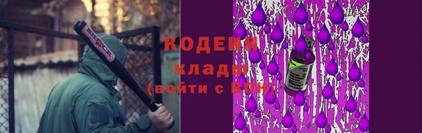 крисы Горнозаводск