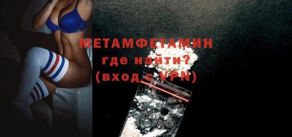 прущие грибы Горняк