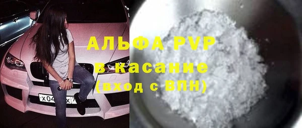 прущие грибы Горняк