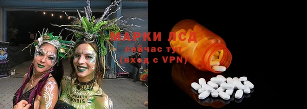 крисы Горнозаводск