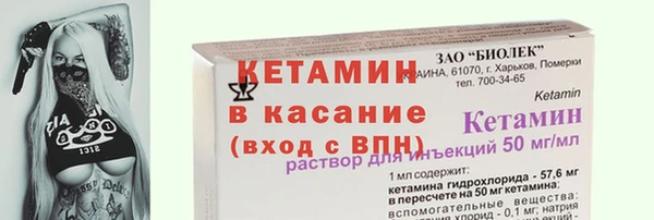 прущие грибы Горняк
