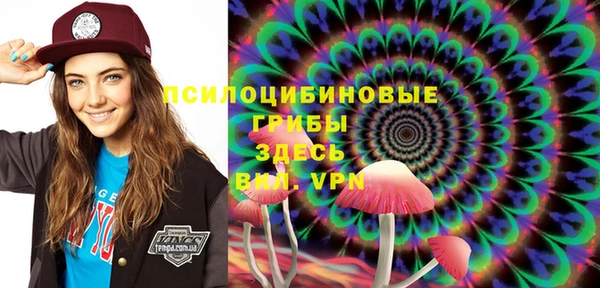 прущие грибы Горняк