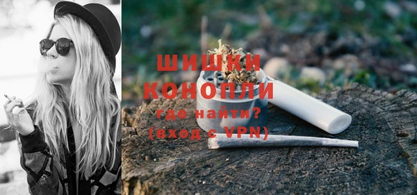 прущие грибы Горняк