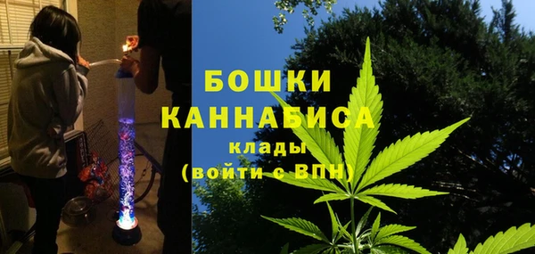 прущие грибы Горняк