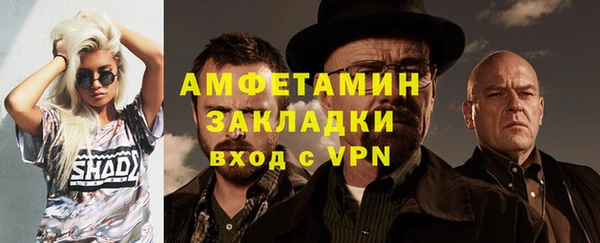 прущие грибы Горняк