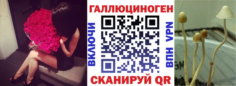 хочу наркоту Москва Псилоцибиновые грибы ЛСД