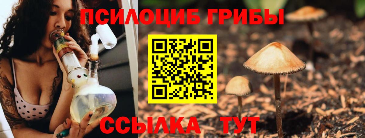 Галлюциногенные грибы Cubensis Москва